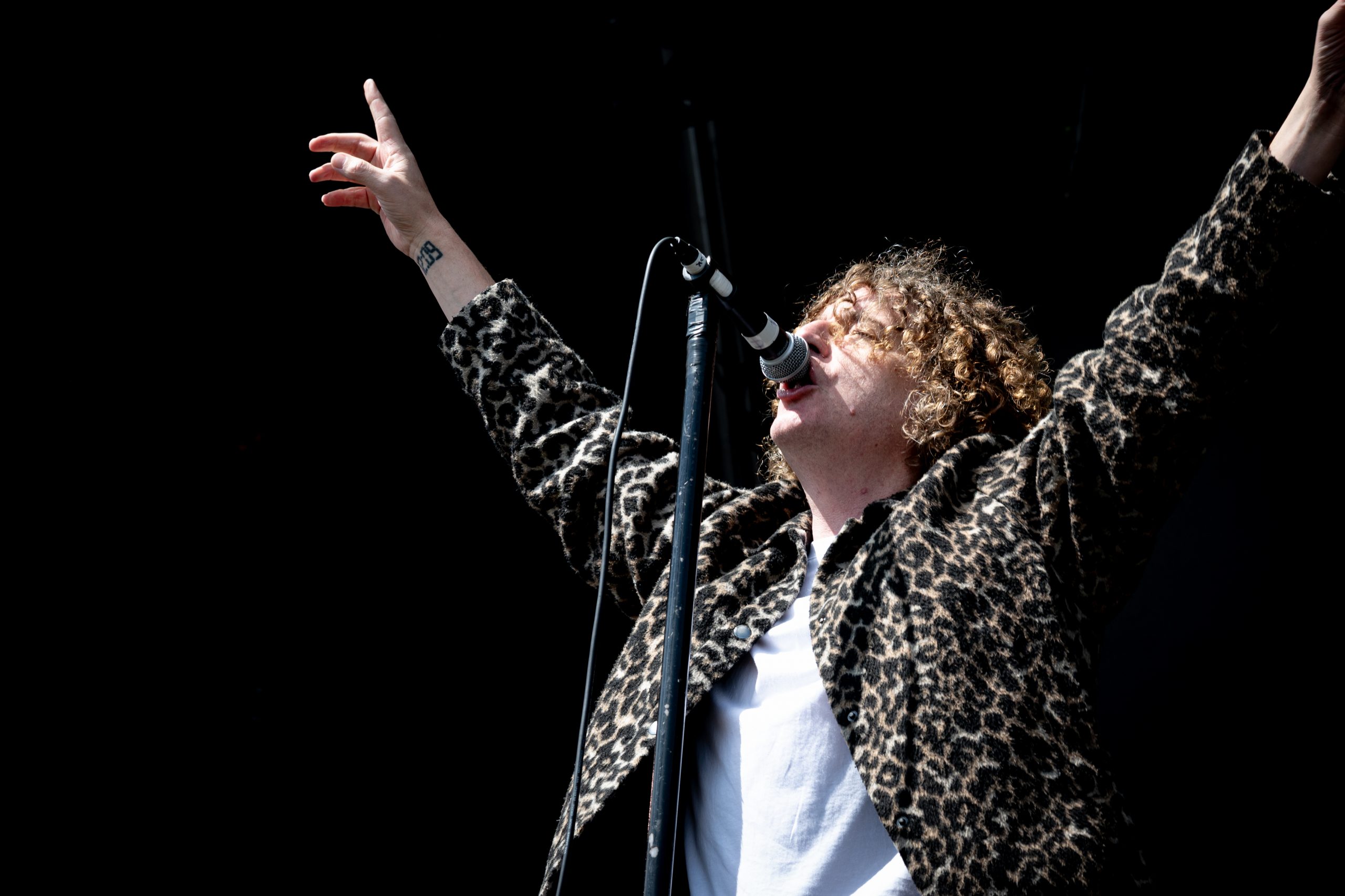 Pigeon Detectives – YNOT