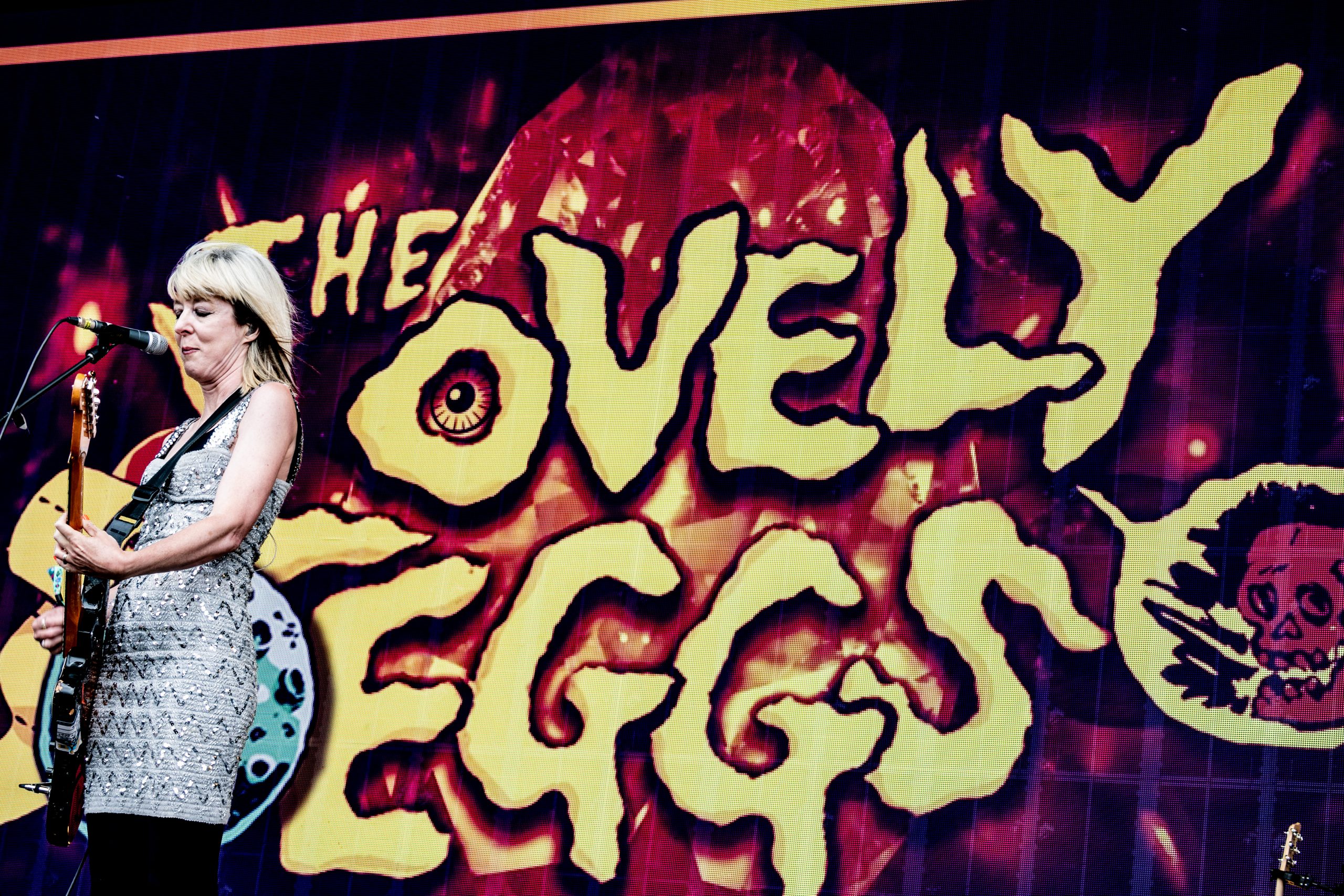 The Lovely Eggs – Bearded Theory