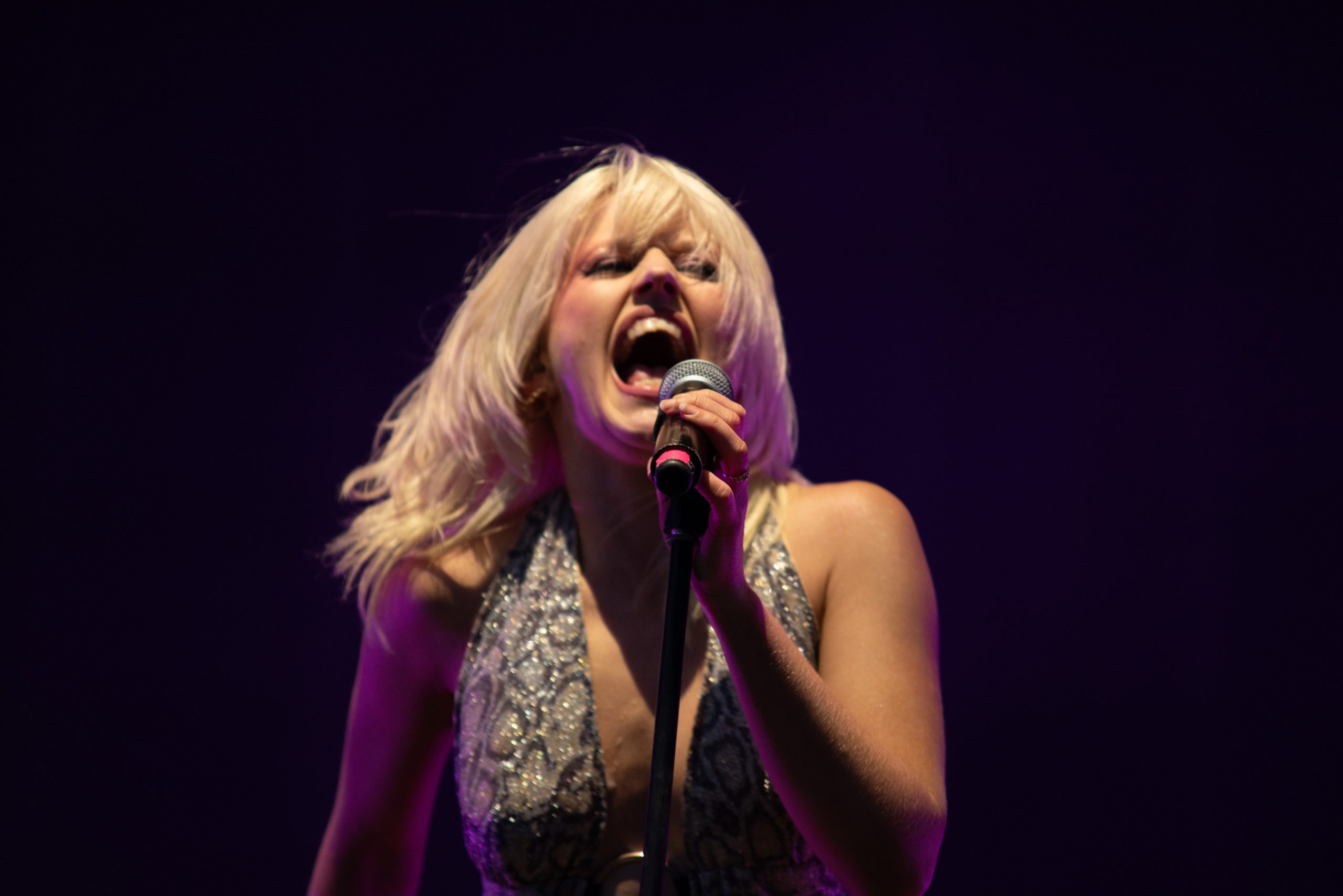 Amyl and the Sniffers – Bearded Theory