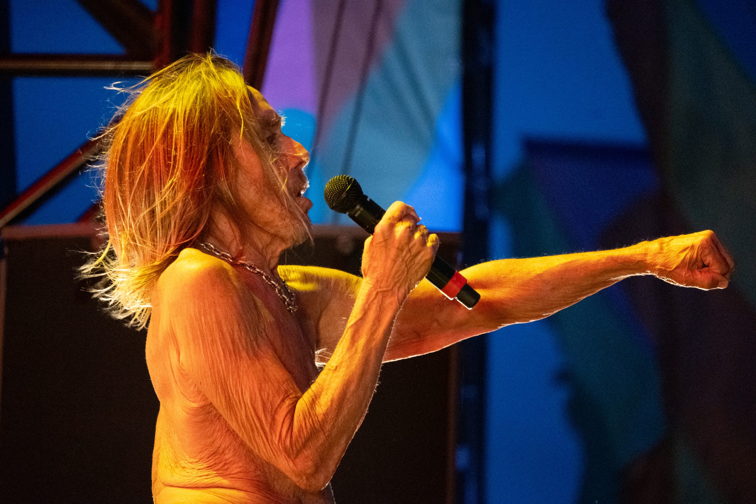 Iggy Pop – Bearded Theory
