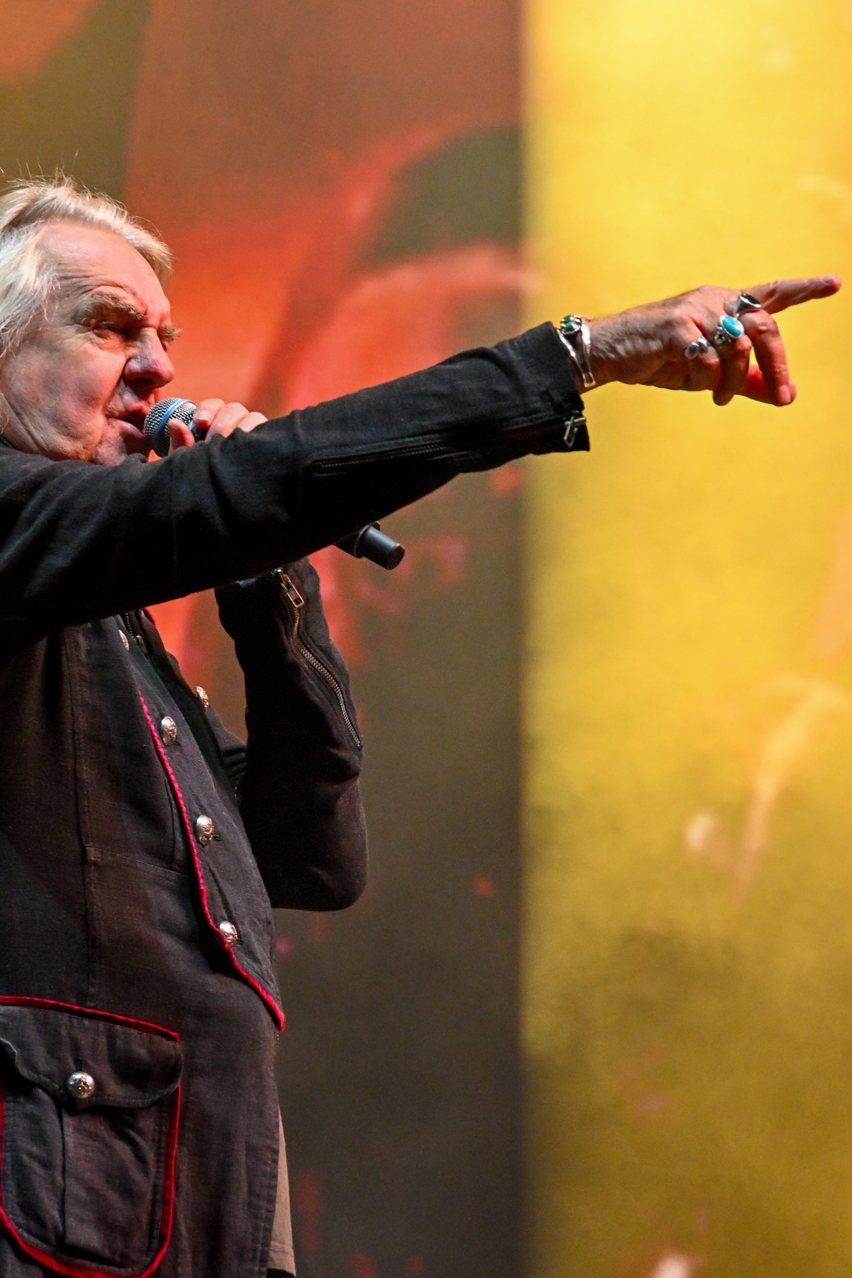 Saxon at Bloodstock
