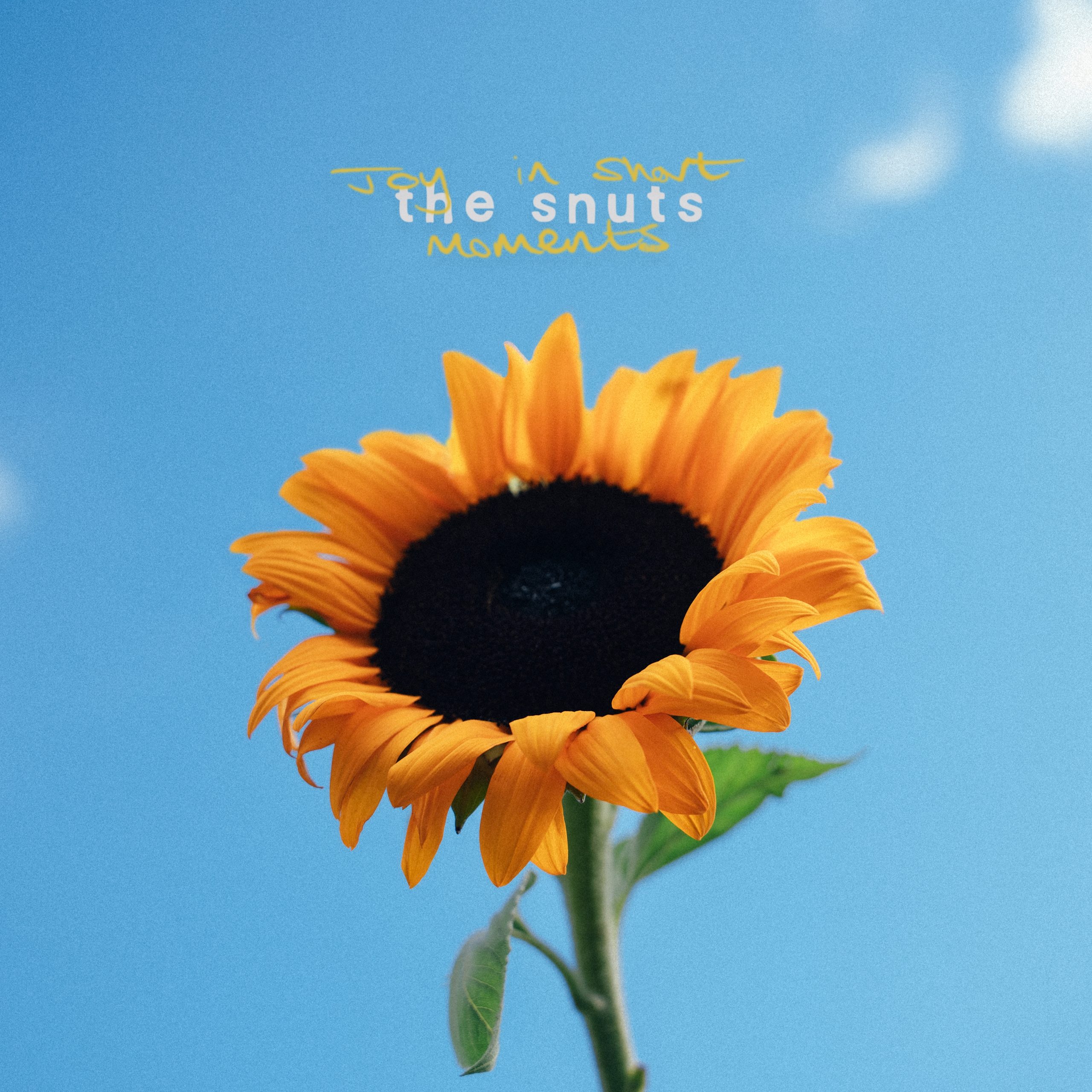 The Snuts new single PTS