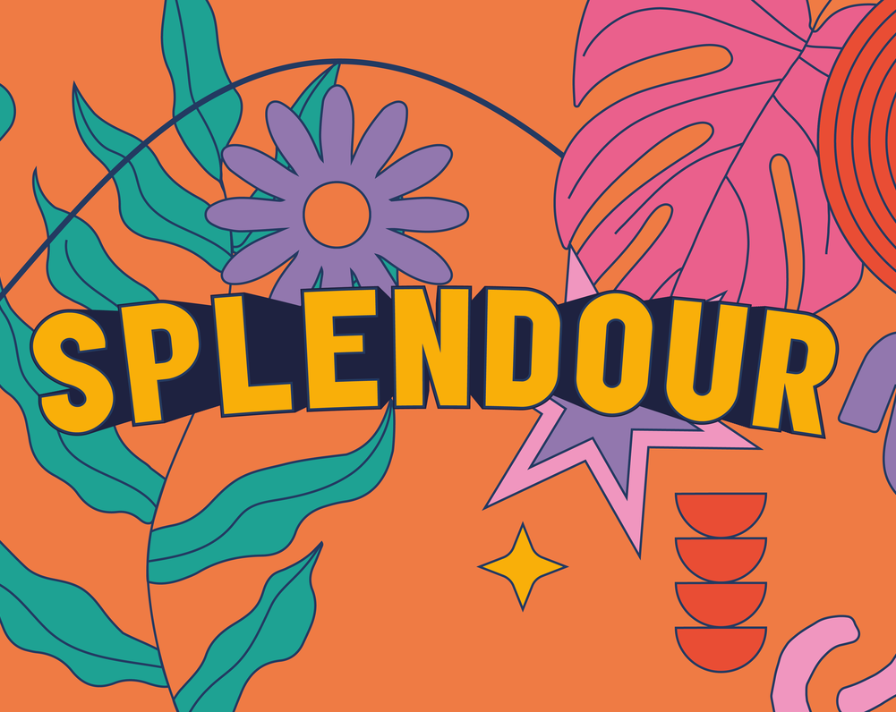 Splendour Line Up Announcement